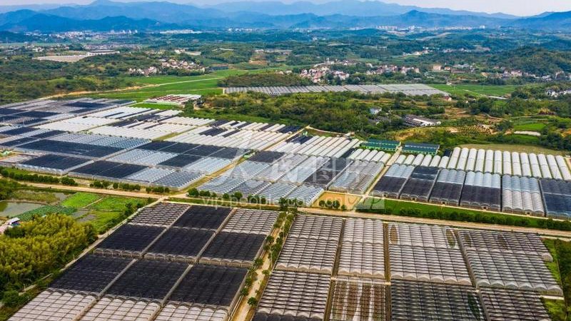 农业科技示范基地：揭秘十大品牌背后的秘密**
