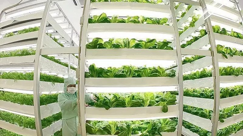 合作社联农带农机制：构建现代农业发展新格局