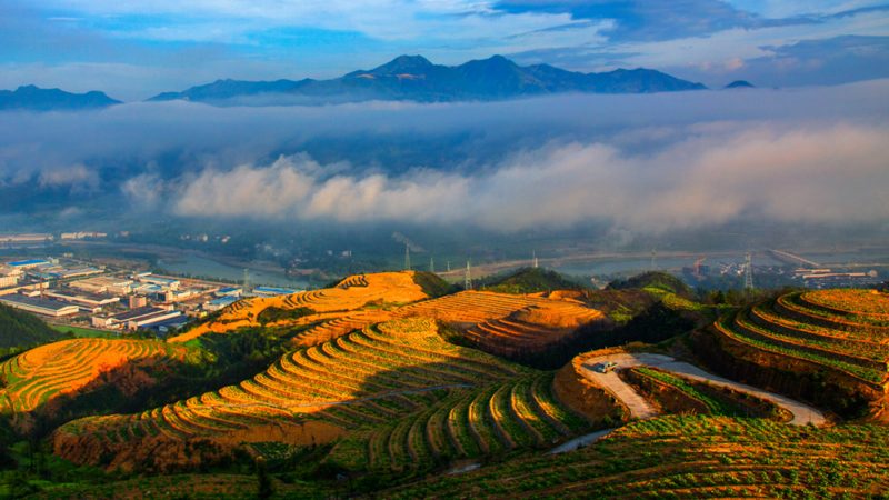 成都农业种植地块选择的关键要素**