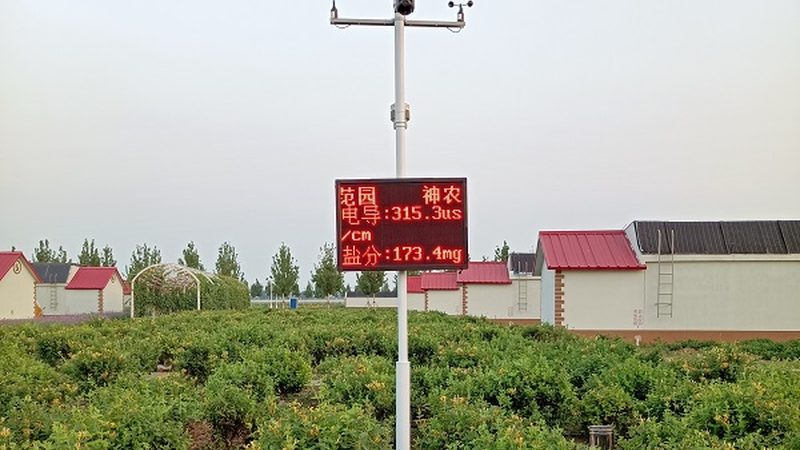 冻品农产品批发价格背后的考量因素
