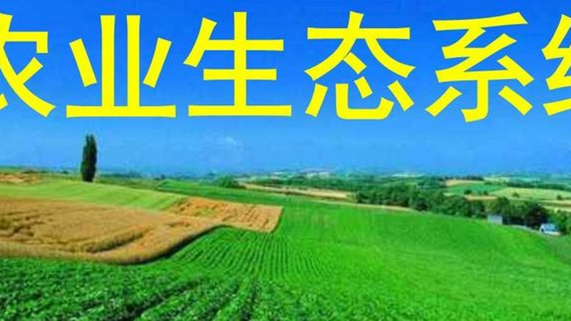 无公害农产品土壤环境标准：守护绿色餐桌的基石