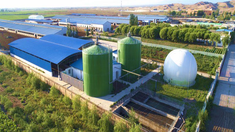 生鲜配送中心建设：报价明细背后的考量因素