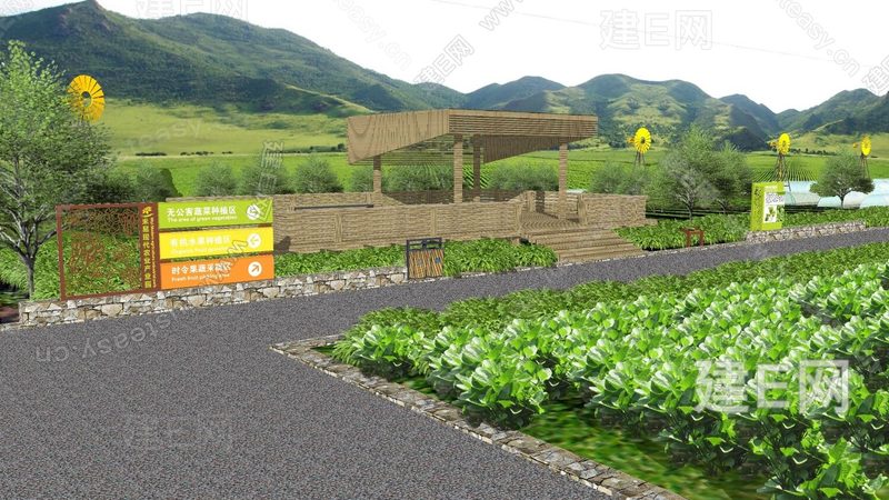水稻植保无人机打药服务：高效农业的新选择**