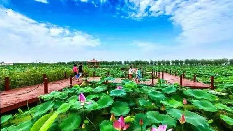 上海农产品配送收费标准：揭秘影响定价的关键因素**