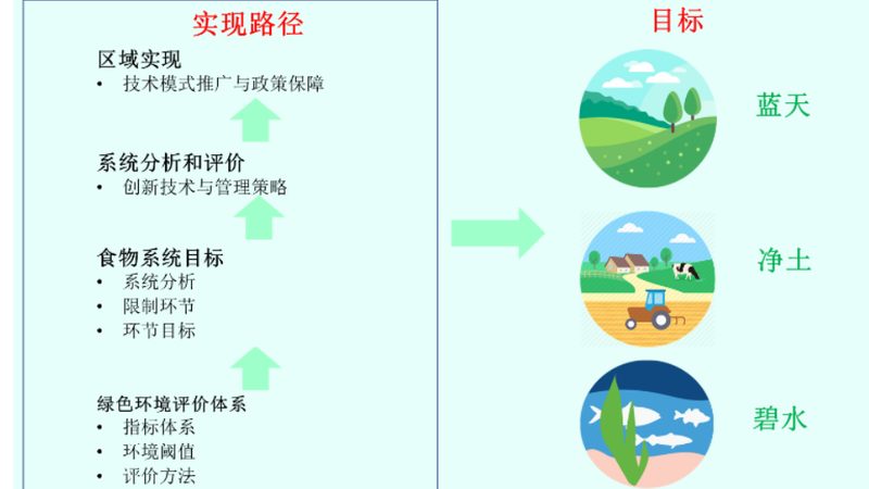 有机蔬菜与普通蔬菜：种植标准差异大揭秘**