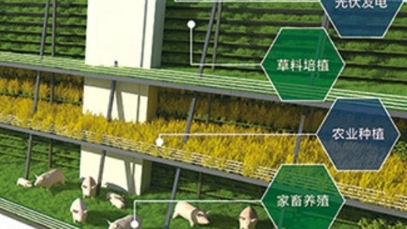 生态农业可行性报告编制公司推荐