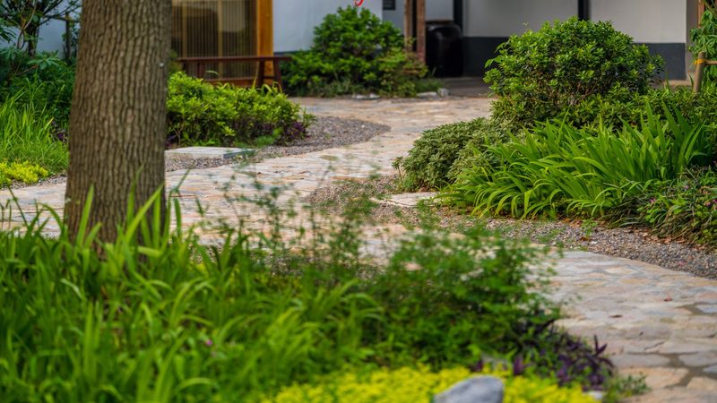 玉米种植土壤要求：如何打造高产稳产的基础