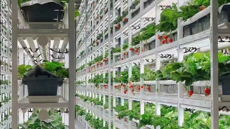 家庭农场升级，种植设备选哪家？**