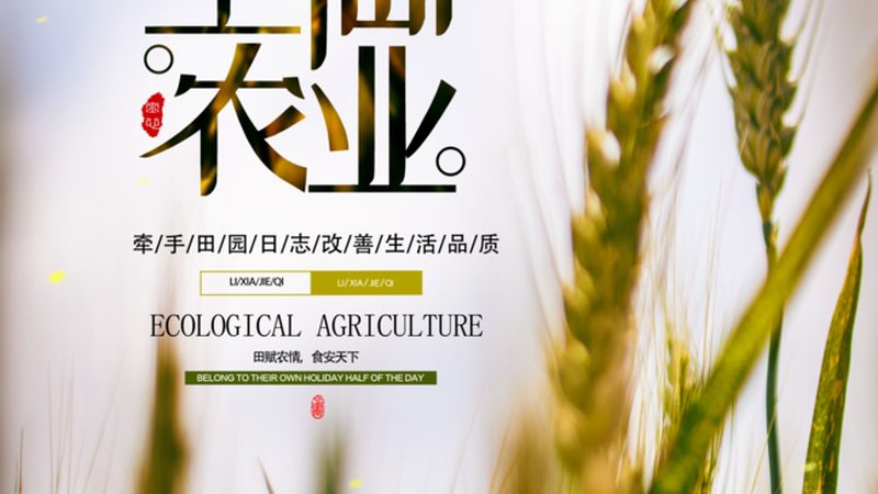北京绿色食品认证：守护舌尖上的安全**